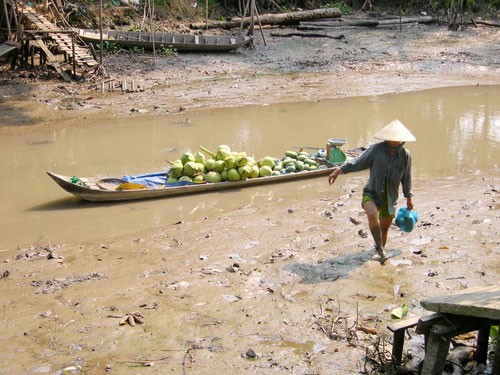 Nâng cao hiệu quả sử dụng nguồn nước vùng Đồng bằng Sông Cửu Long - ảnh 1